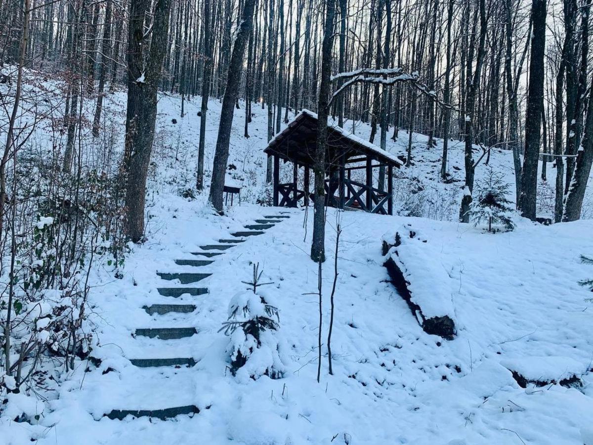 Chalet Vedmezhe 폴리아나 외부 사진