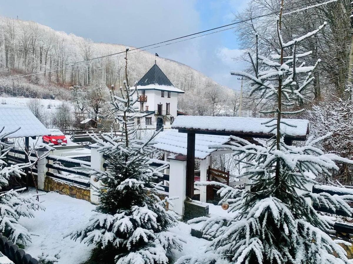 Chalet Vedmezhe 폴리아나 외부 사진