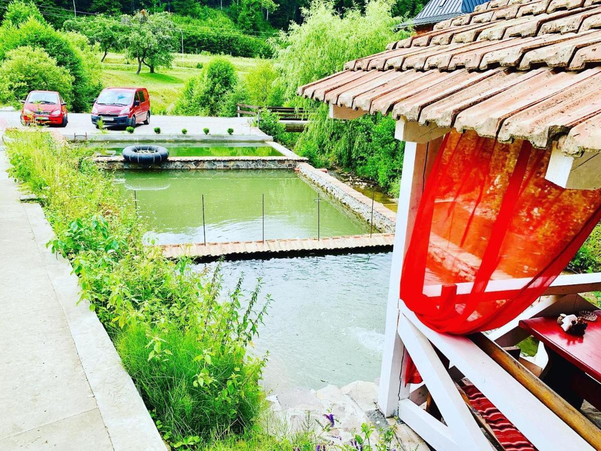 Chalet Vedmezhe 폴리아나 외부 사진