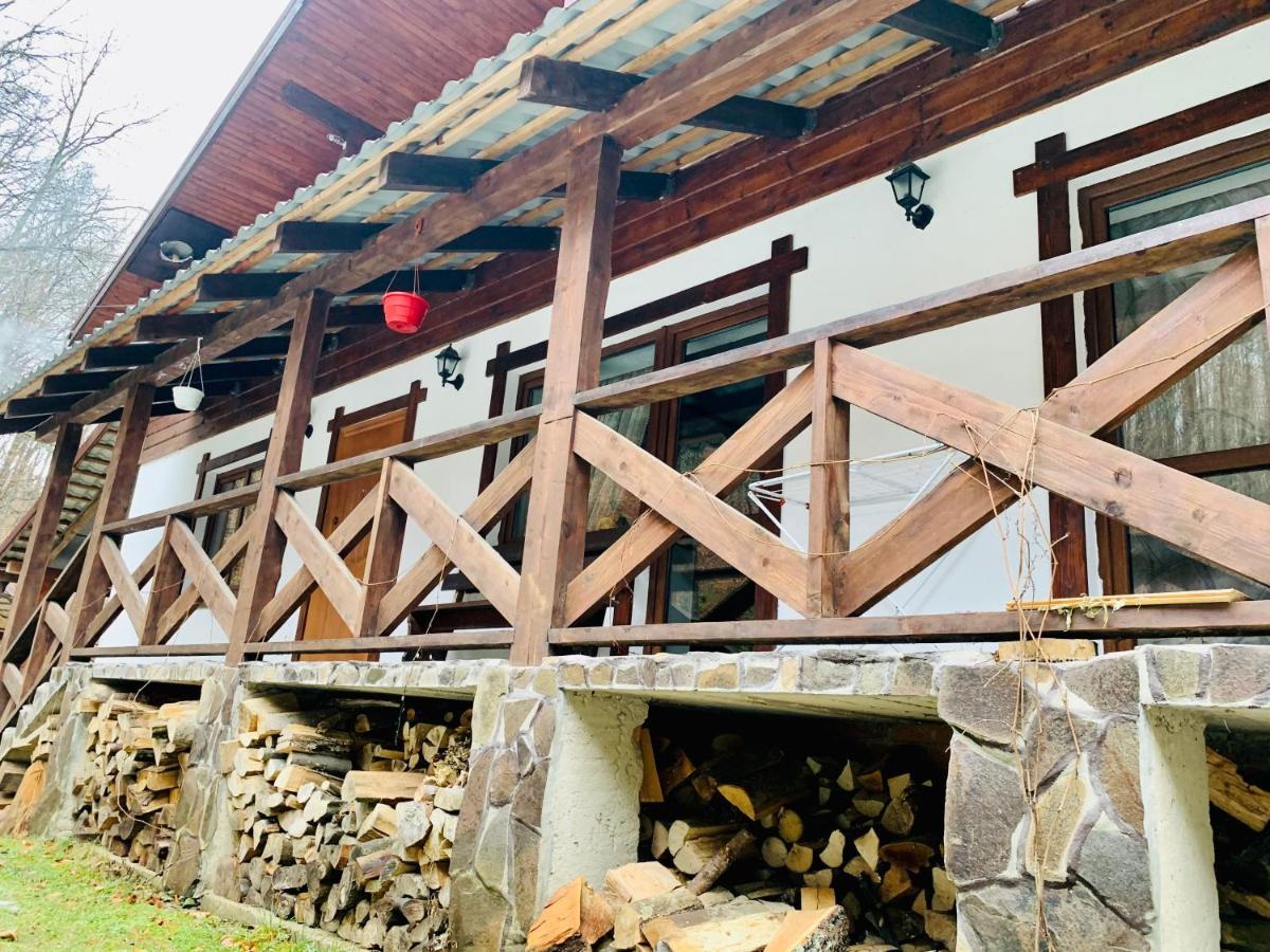 Chalet Vedmezhe 폴리아나 외부 사진