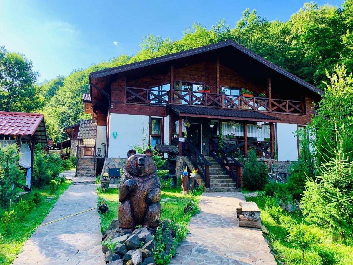 Chalet Vedmezhe 폴리아나 외부 사진